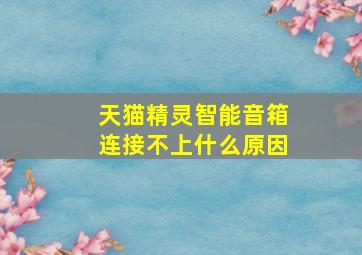 天猫精灵智能音箱连接不上什么原因