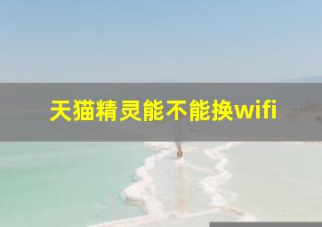 天猫精灵能不能换wifi