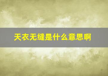 天衣无缝是什么意思啊