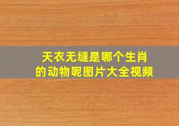 天衣无缝是哪个生肖的动物呢图片大全视频