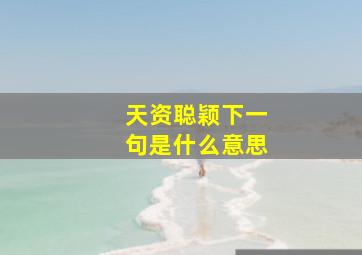 天资聪颖下一句是什么意思