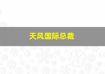 天风国际总裁