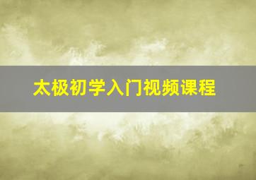 太极初学入门视频课程