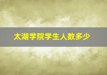 太湖学院学生人数多少