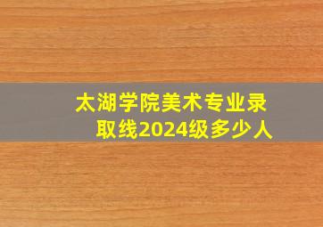 太湖学院美术专业录取线2024级多少人