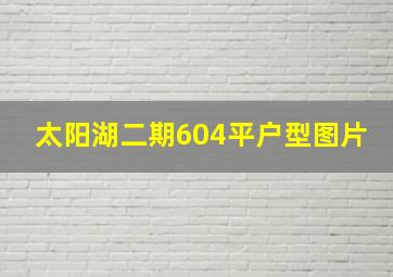 太阳湖二期604平户型图片