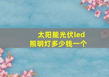 太阳能光伏led照明灯多少钱一个