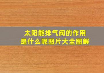 太阳能排气阀的作用是什么呢图片大全图解