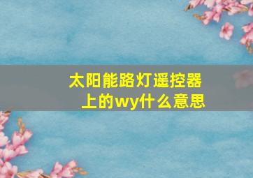 太阳能路灯遥控器上的wy什么意思