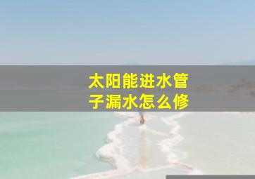 太阳能进水管子漏水怎么修