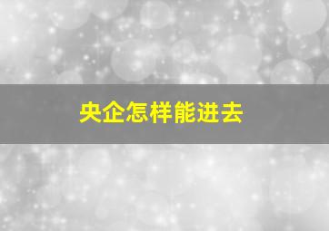 央企怎样能进去