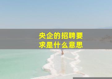 央企的招聘要求是什么意思