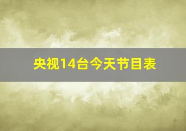 央视14台今天节目表