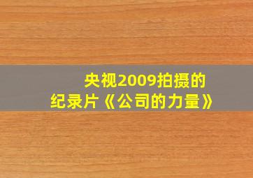 央视2009拍摄的纪录片《公司的力量》