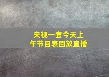 央视一套今天上午节目表回放直播