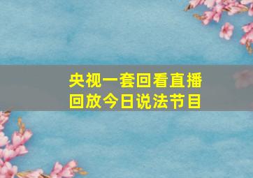 央视一套回看直播回放今日说法节目