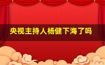 央视主持人杨健下海了吗