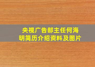 央视广告部主任何海明简历介绍资料及图片