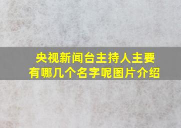 央视新闻台主持人主要有哪几个名字呢图片介绍