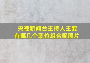 央视新闻台主持人主要有哪几个职位组合呢图片