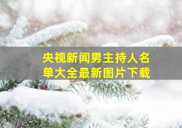 央视新闻男主持人名单大全最新图片下载