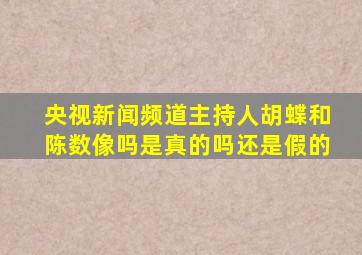 央视新闻频道主持人胡蝶和陈数像吗是真的吗还是假的