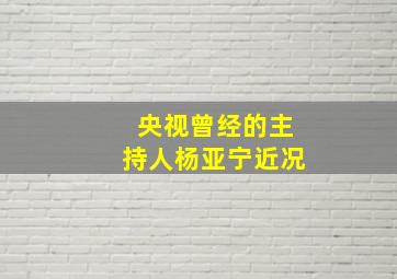 央视曾经的主持人杨亚宁近况