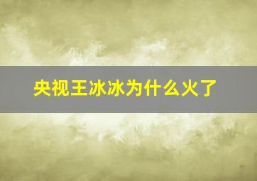 央视王冰冰为什么火了