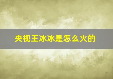 央视王冰冰是怎么火的