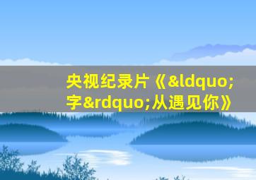 央视纪录片《“字”从遇见你》