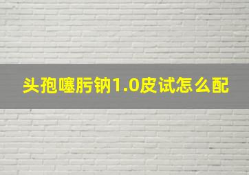 头孢噻肟钠1.0皮试怎么配