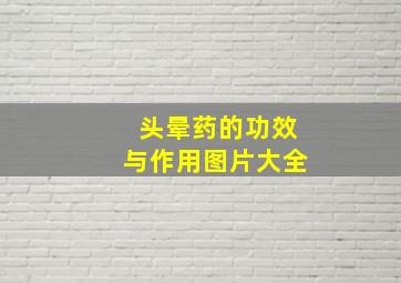 头晕药的功效与作用图片大全