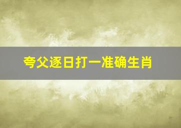 夸父逐日打一准确生肖