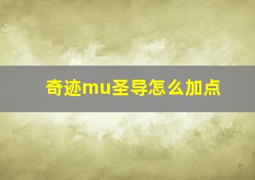 奇迹mu圣导怎么加点