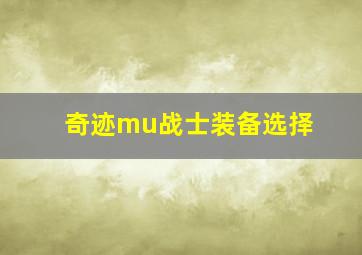 奇迹mu战士装备选择