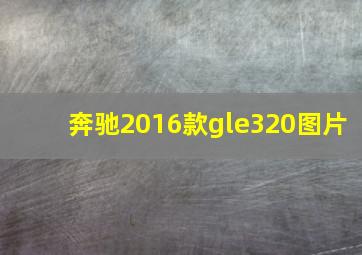 奔驰2016款gle320图片