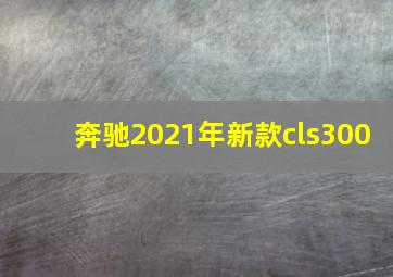 奔驰2021年新款cls300