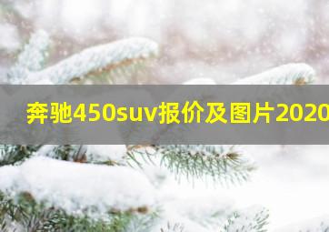 奔驰450suv报价及图片2020款