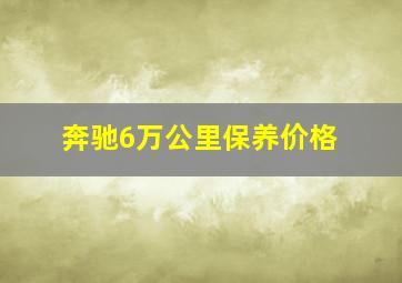 奔驰6万公里保养价格