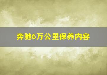 奔驰6万公里保养内容