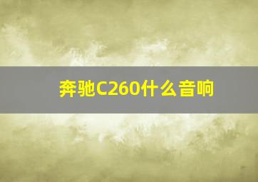 奔驰C260什么音响