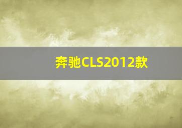 奔驰CLS2012款