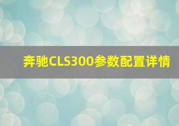 奔驰CLS300参数配置详情