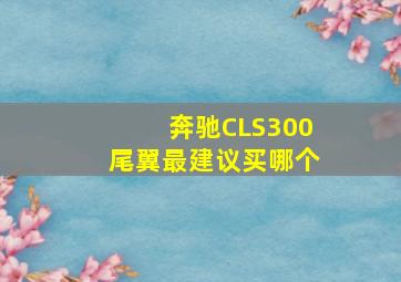 奔驰CLS300尾翼最建议买哪个