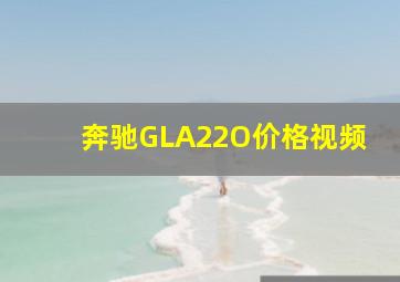 奔驰GLA22O价格视频