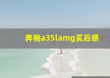 奔驰a35lamg买后感