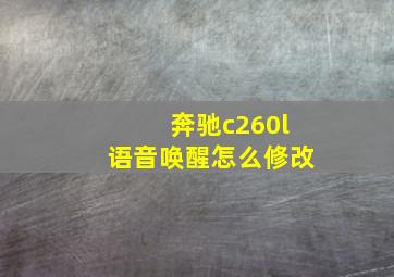 奔驰c260l语音唤醒怎么修改