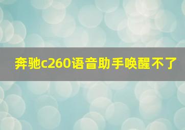 奔驰c260语音助手唤醒不了