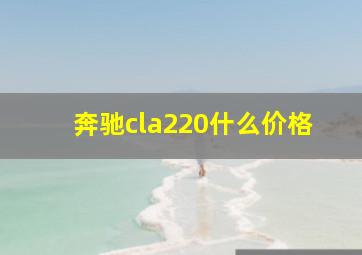 奔驰cla220什么价格