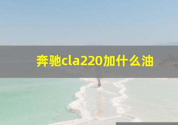 奔驰cla220加什么油